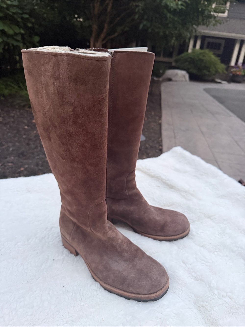 UGG Tall Suede Boots in Brown
